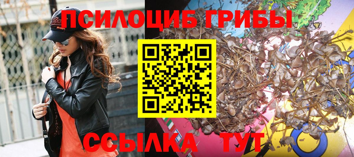 Галлюциногенные грибы Psilocybe  Псилоцибиновые грибы Psilocybe  Южноуральск  купить наркотик  Вход с VPN 